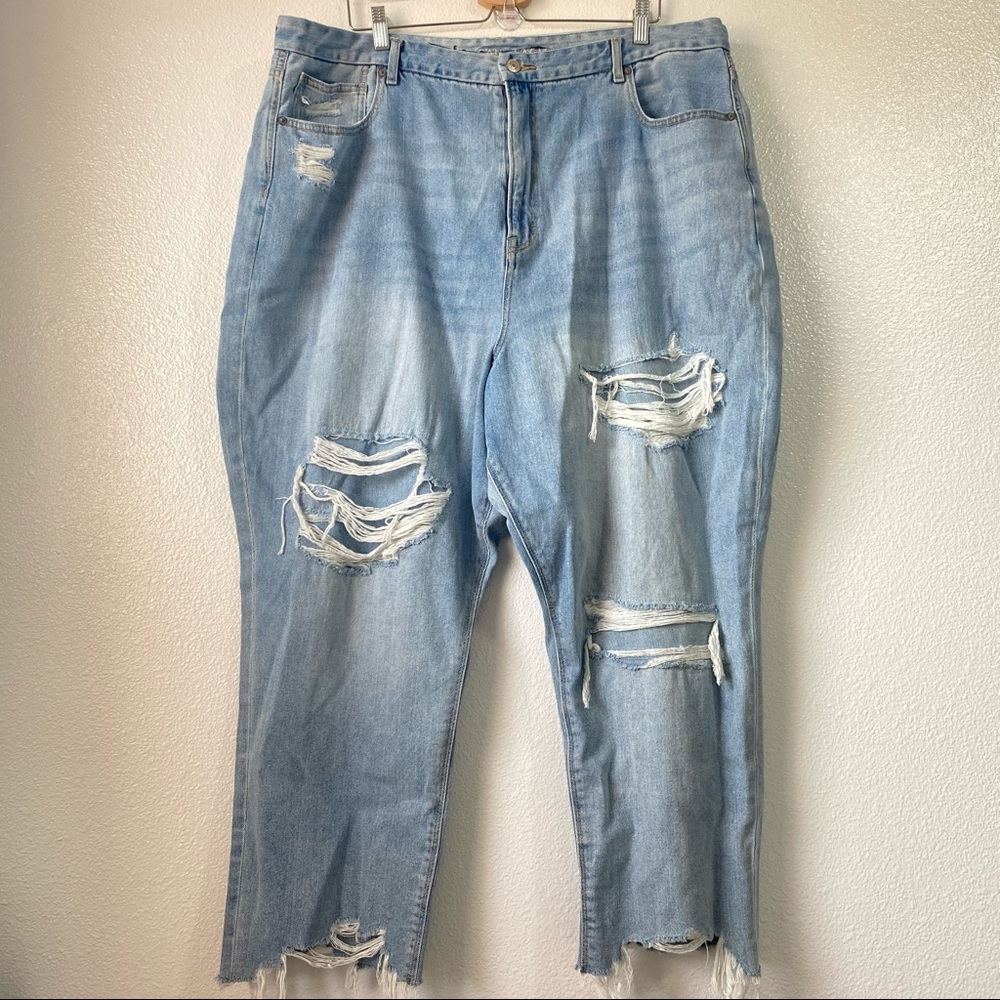 NWOT American Eagle Distressed Curvy Mom Jean 22 S
